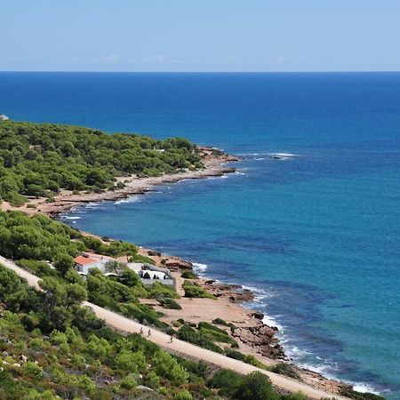 La Casa Del Pompon Apartman Benicàssim Kültér fotó